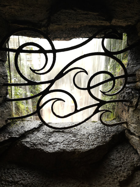 Gaylord Opryland热带植物园，花，叶，棕榈树，瀑布，田纳西州纳什维尔州图片下载