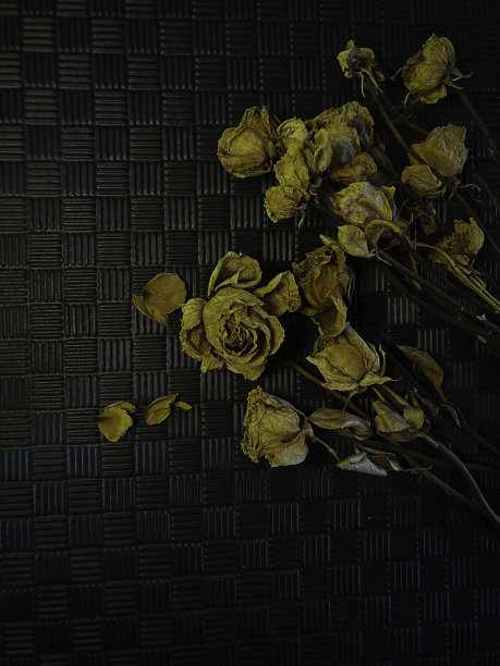 干玫瑰放在黑色的垃圾表面背景，图片下载