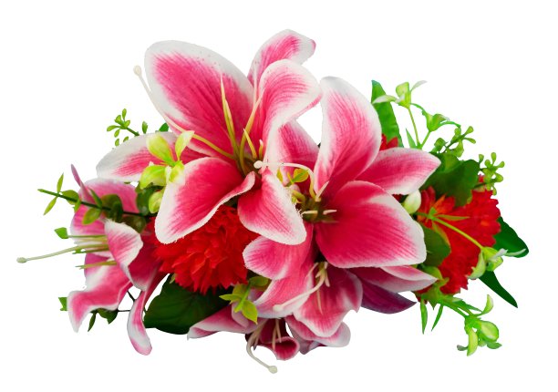 百合花束分离图片下载