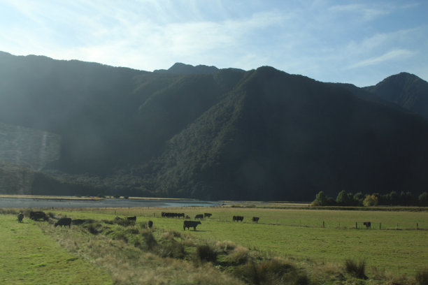 新西兰奥塔哥地区图片下载