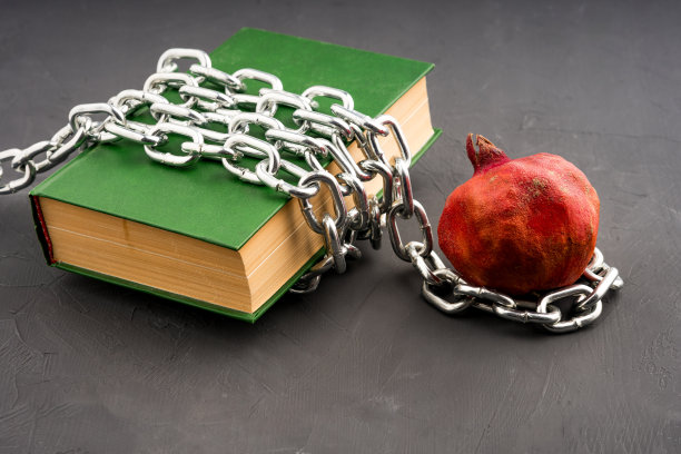 一本绿色的书拴在灰色的背景和石榴果上图片下载