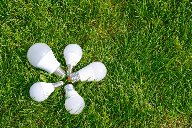 绿色草坪背景上的LED灯泡图片下载