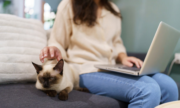 带着猫在家工作的女人。猫在笔记本电脑键盘上睡着了。在笔记本电脑公司工作的助理图片下载