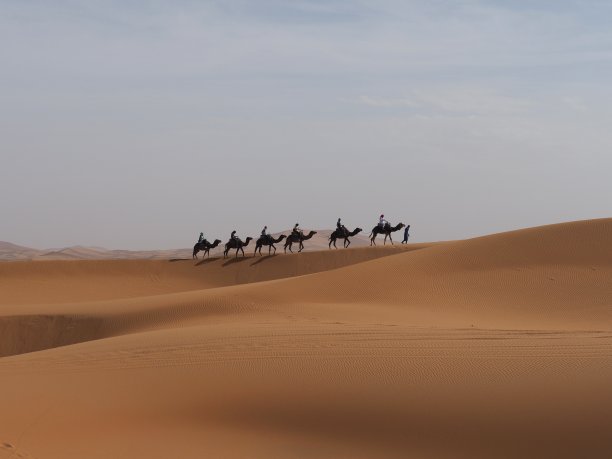 在远处，可以看到一个由六头骆驼组成的商队穿过沙丘图片下载