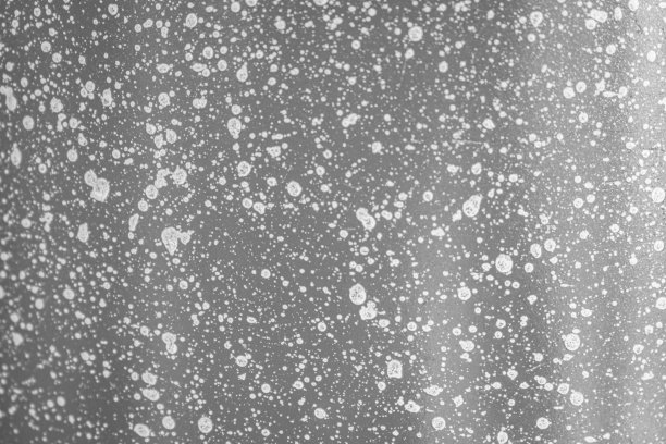 背景和纹理的灰色花岗岩与白色斑点图片下载