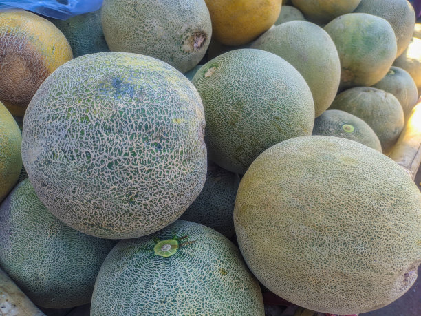 传统市场上的新鲜瓜被堆放在一起图片下载
