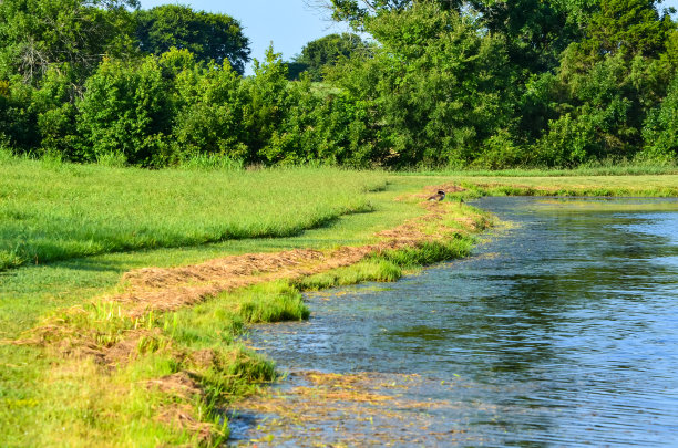 绕池塘散步图片下载
