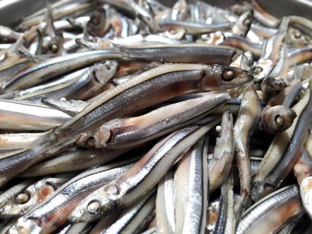 煮熟的小鱼，为亚洲料理增添风味，特写照片图片下载