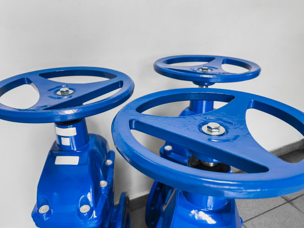 蓝领阀图片下载