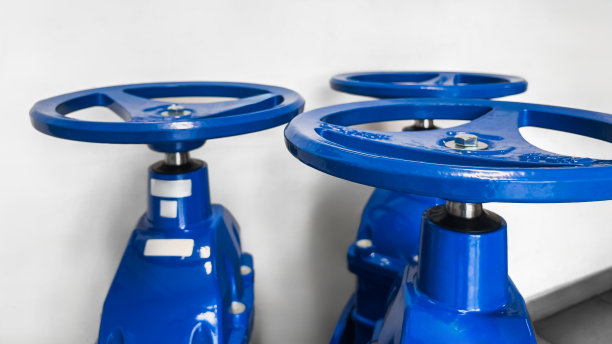 蓝领阀图片下载