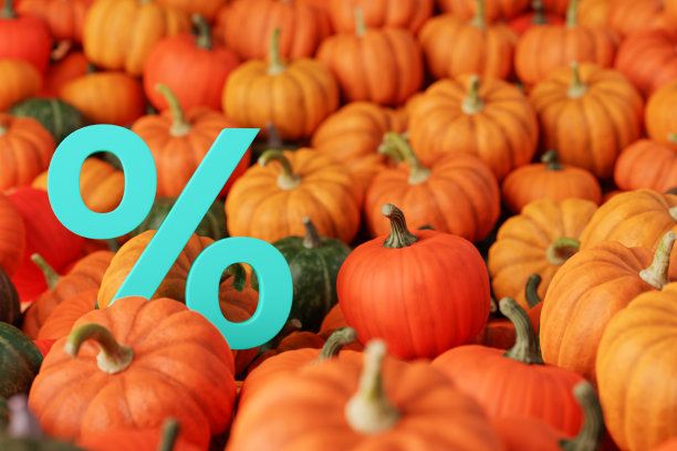 一堆明亮的橙色、绿色、粉红色的南瓜在白天打折出售图片下载