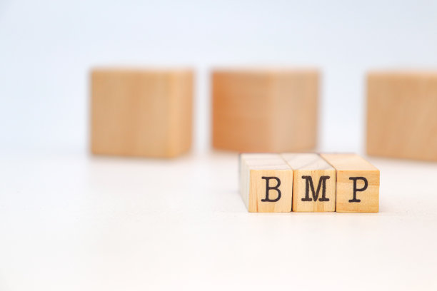 BPM word业务流程管理图片下载