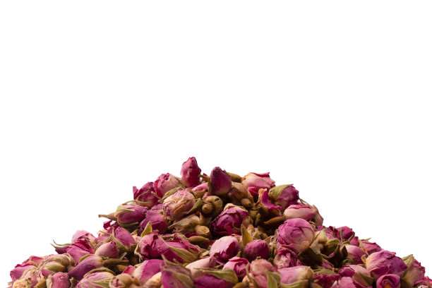 在白色背景上孤立的干茶蔷薇。图片下载