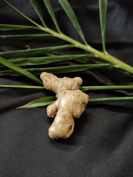 新鲜姜和一些绿叶图片下载