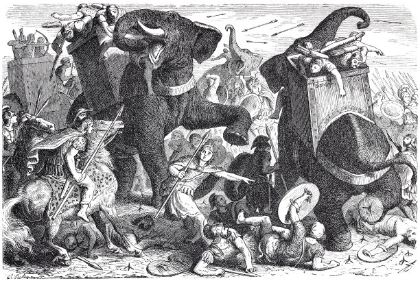 加沙战役图片下载