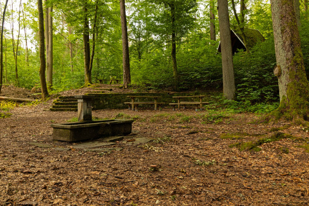 图林根州Heldburg附近森林中的鹬喷泉图片下载