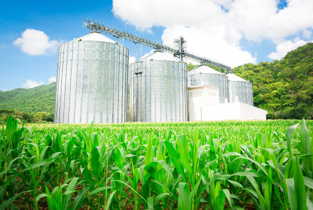 储存玉米的筒仓图片下载