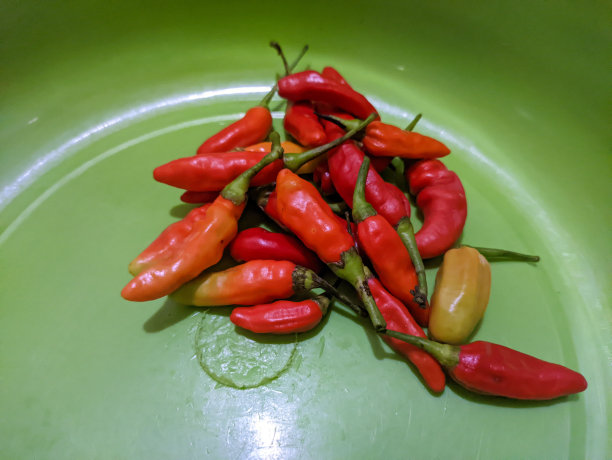 辣椒或cabai的近照。图片下载