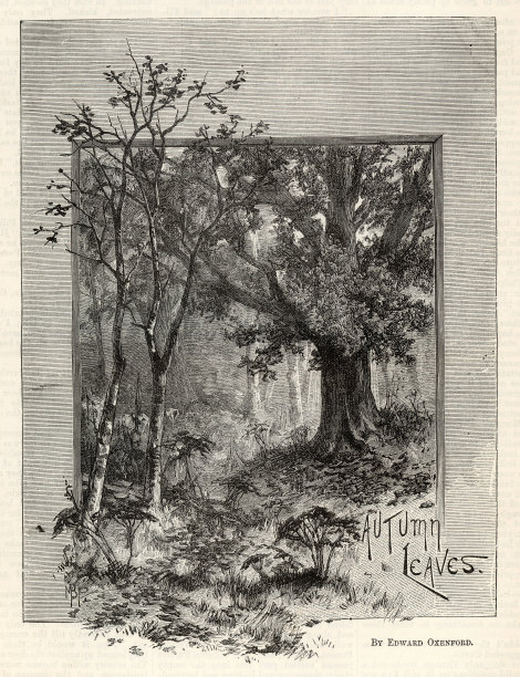 维多利亚林地景观，秋叶，19世纪艺术图片下载