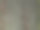在田里成排地种植玫瑰。灌木绽放出不同的颜色。从种植园上空俯瞰。干地里的条纹图案，玉米，飞过，上方图片下载