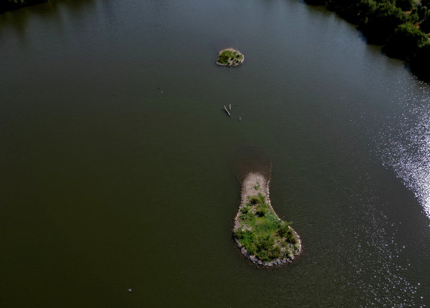 逐渐入水并露出岩石的人工岛屿的建造。与河岸分开的筑巢区适合鸟类在砾石和鹅卵石中筑巢图片下载