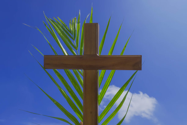 有人拿着木制十字架和棕榈叶，背景是蓝天图片下载