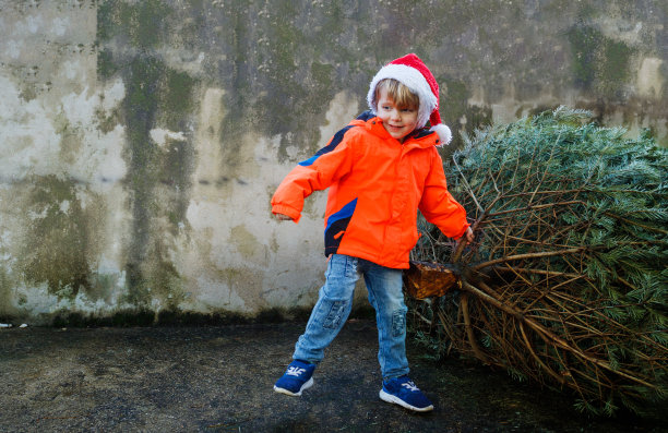 戴圣诞帽的小男孩拖着一棵圣诞树回家图片下载