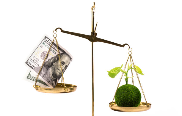 一个嫩芽，绿色的叶子，一个微型的绿色星球和一张100美元的钞票在白底的鳞片上图片下载