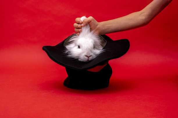 孩子的手拿着一只可爱的白兔，坐在一顶红色背景的黑帽子上。气缸的帽子。专注于野兔。马戏团表演错觉欺骗惊喜与宠物秘密毛茸茸的复活节图片下载