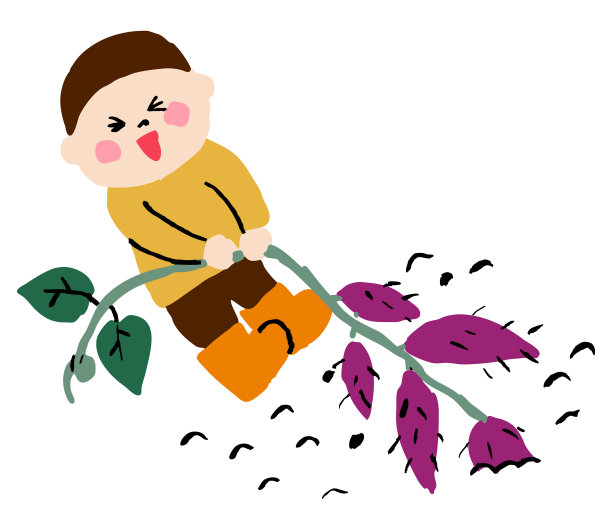 孩子在挖一个大红薯图片下载