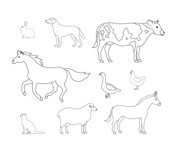 矢量集平面手绘轮廓家畜图片下载