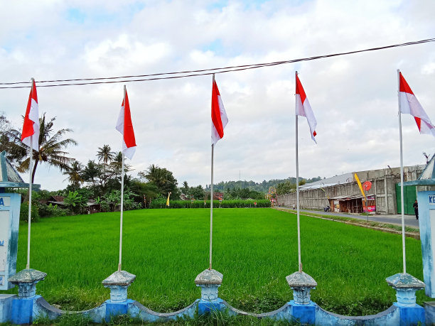 印尼国旗图片下载