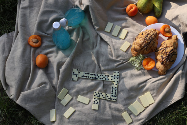 棋盘逻辑游戏的家庭和朋友的多米诺骨牌野餐图片下载
