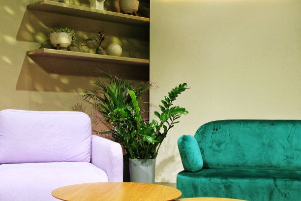 室内舒适的客厅与优雅的配件。有沙发和家具的现代家庭住宅。阁楼公寓的家居装饰。舒适的公寓。设计别致昂贵的豪宅图片下载