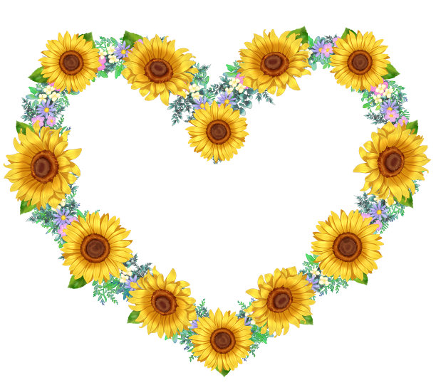 向日葵心框插画图片下载