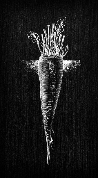 植物学蔬菜植物仿古雕刻插图:红色城堡花园甜菜图片下载