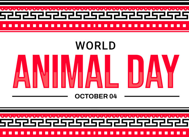 世界动物日背景设计，多色排版。动物日封背景图片下载