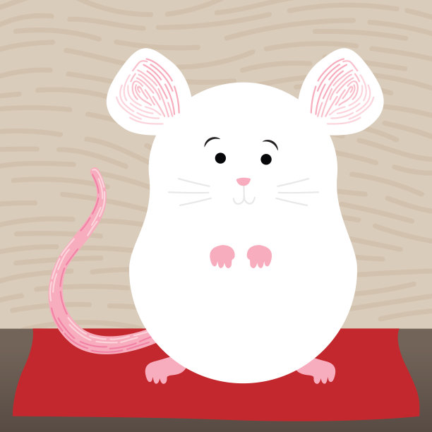 可爱的老鼠图片下载