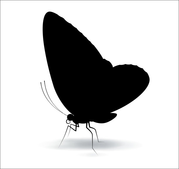 蝴蝶剪影黑色孤立在白色背景上图片下载