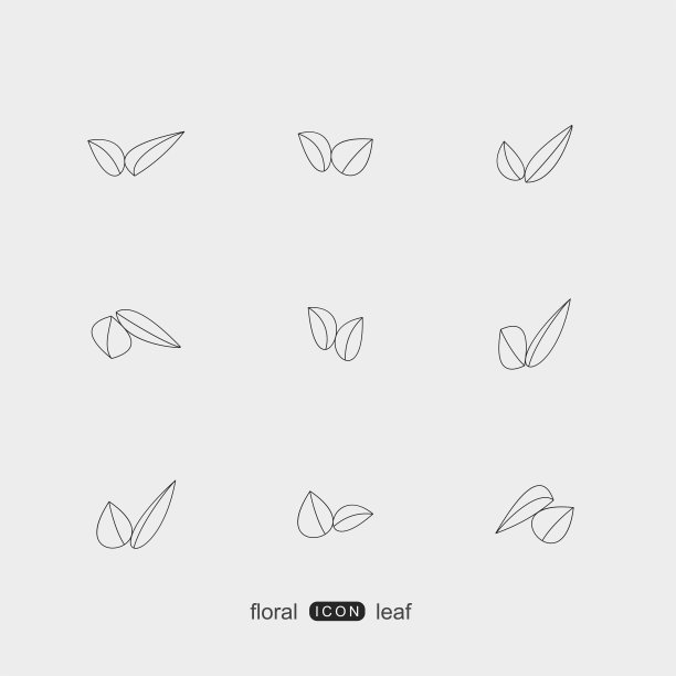 一套线型植物花卉和叶图案图标图片下载