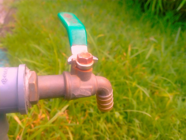 花园里的水龙头图片下载