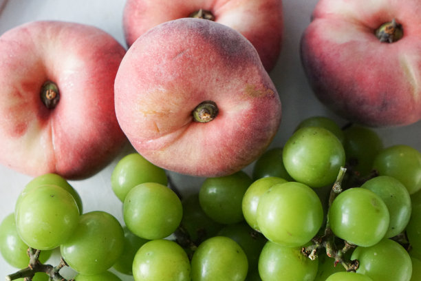 平桃和光泽麝香图片下载