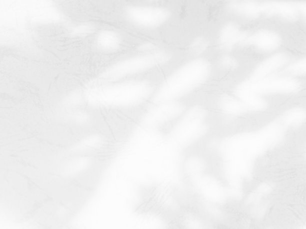 阴影叶背景，抽象植物叶子白光模糊水泥大理石，覆盖阳光光影自然树花卉纹理在墙壁地板最小的模板背景空间图片下载