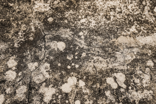 由于老化和暴露在雨水中的白墙开始发霉。风化的旧墙与真菌和苔藓纹理。图片下载