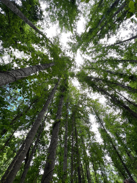 探索公园图片下载