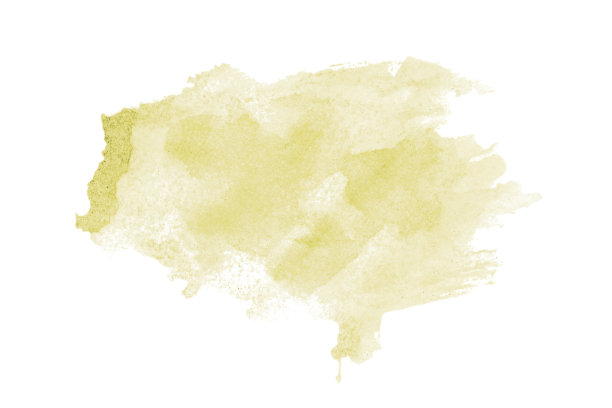 淡黄色水彩背景。艺术手绘。隔离在白色背景上图片下载