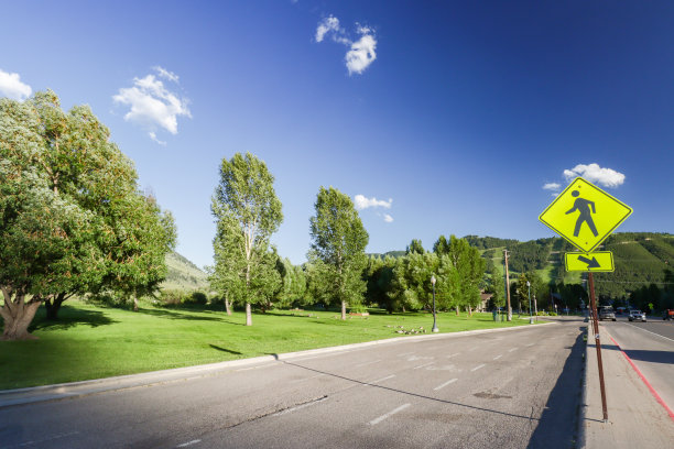 位于怀俄明州提顿县杰克逊的穆里家庭公园的白杨树图片下载