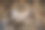 土耳其卡尔斯的阿尼遗址。图片下载