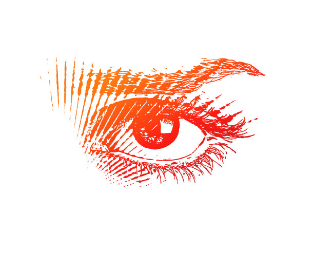 所有的导盲犬图片下载