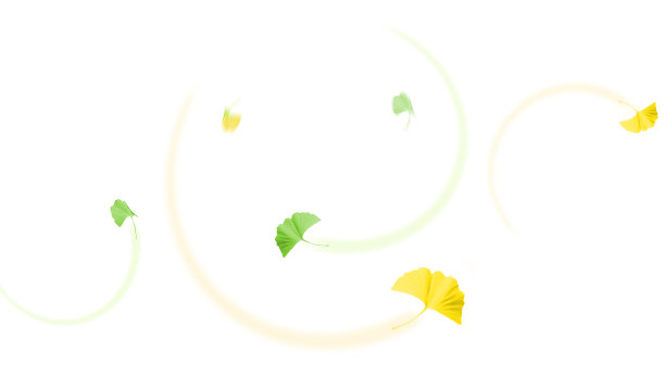 银杏、银杏、叶子、飘落、翱翔、秋天、日本、日本文化、传统之美、图片下载